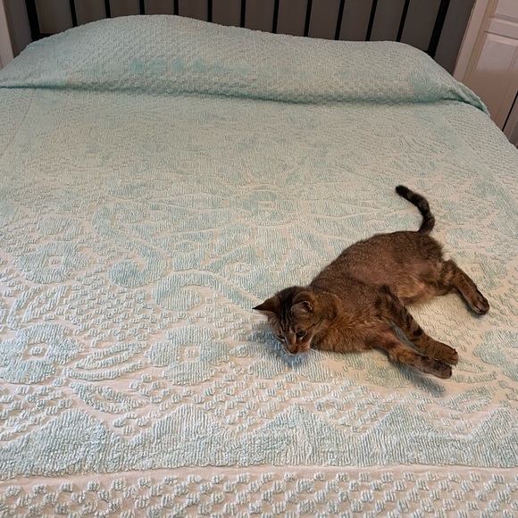 Vintage cotton Pastel mint aqua chenille bedspread full/double - Picture 2 of 6